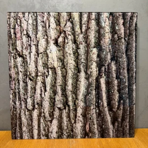 BI0370 / 60x60cm - Szklany grzejnik podczerwieni Welltherm  Bild 370W - drzewo